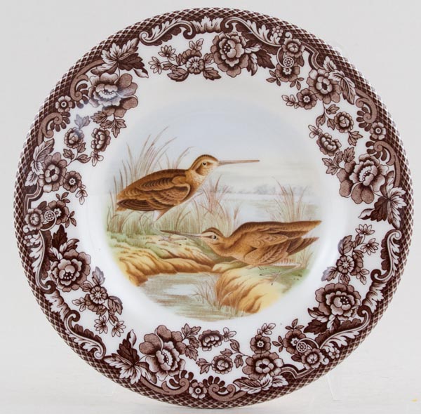 Tea Plate Snipe